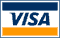 Visa Credit Card